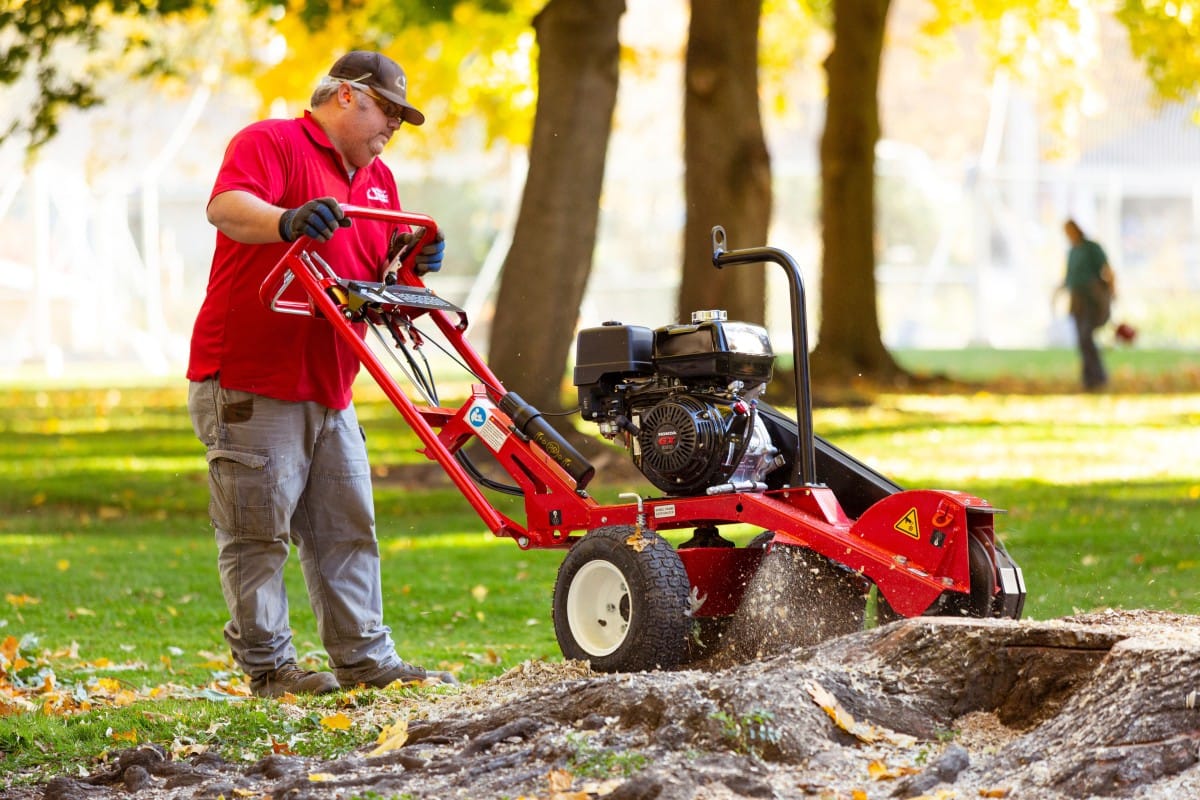 Efficient Small Stump Grinder Services for Landscaping Projects