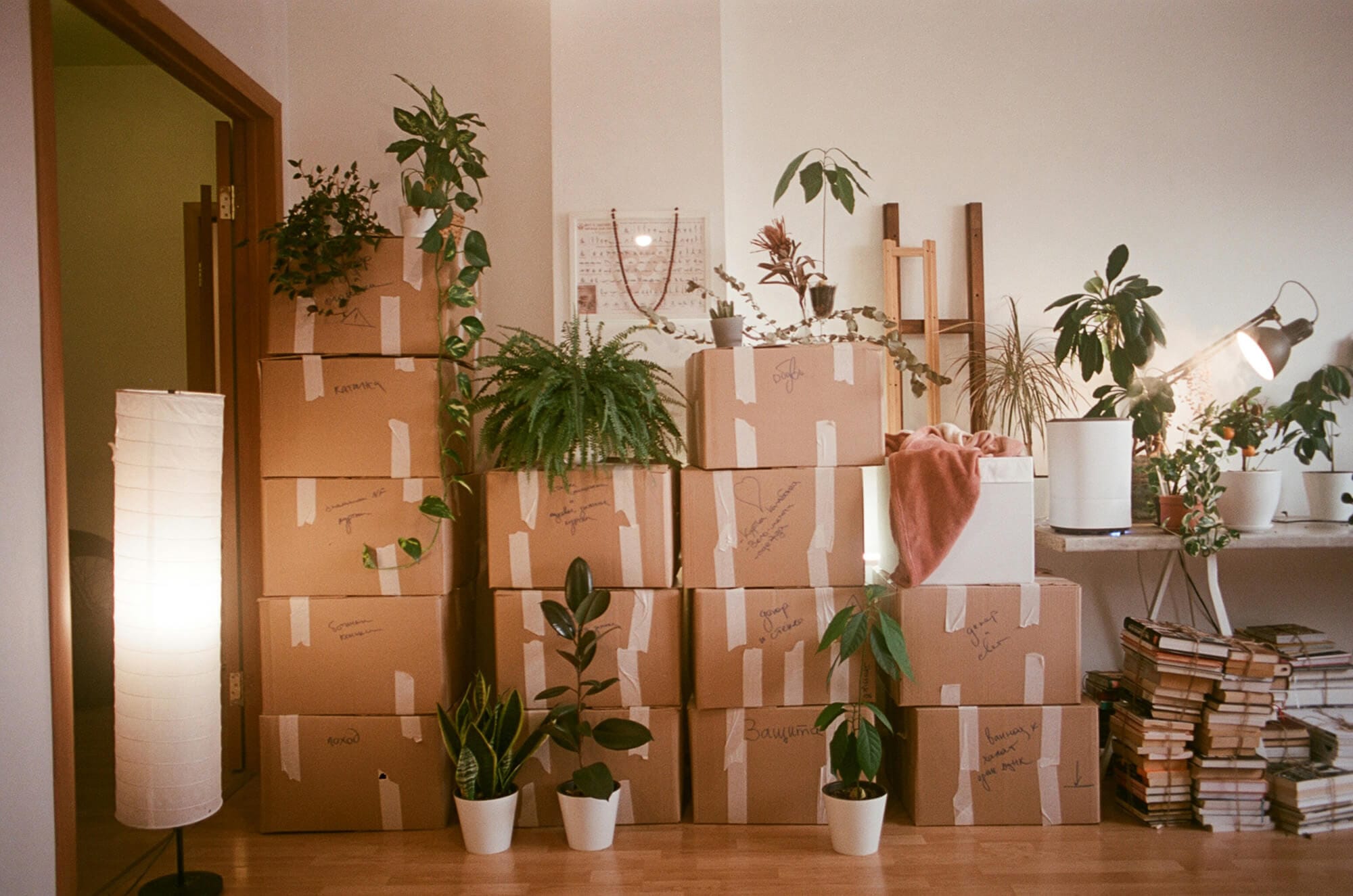 Safe Ship Moving Services: Hassle-Free Relocation in Scottsdale