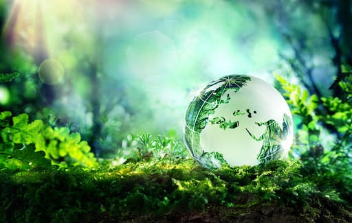 Green Cooling – Cold Storage Solutions You Can Trust