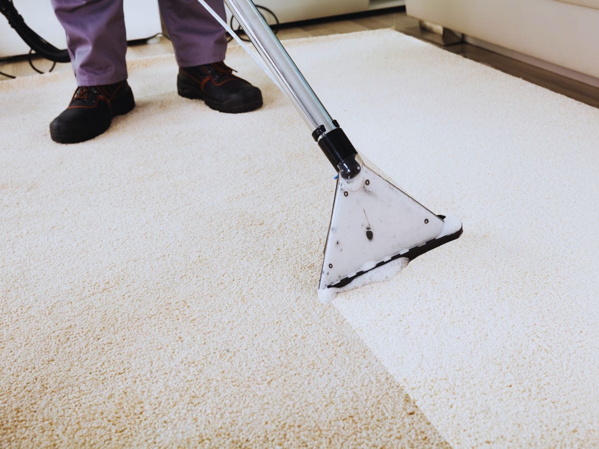 Carpet Cleaners Lincoln CA – Professional Service You Can Trust