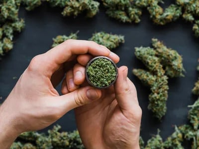 CBD hash supplier confiable en España con catálogo B2B y alta rotación de productos