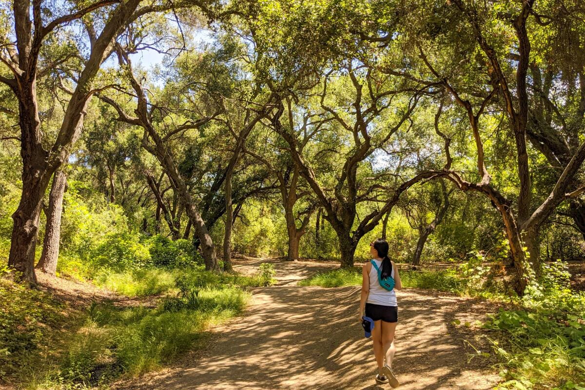 Unlocking the Trails: Insights from Cooltrails.com for Aspiring Hikers