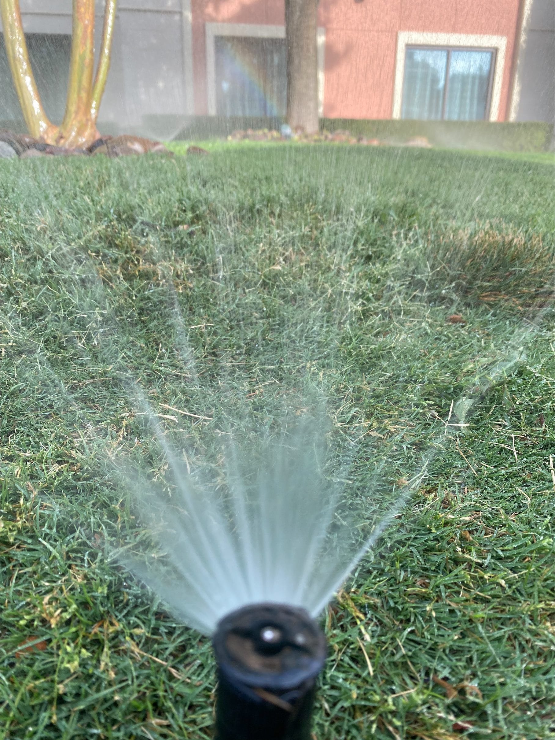 Professional Irrigation Services in Azle , TX for Healthy and Green Landscapes