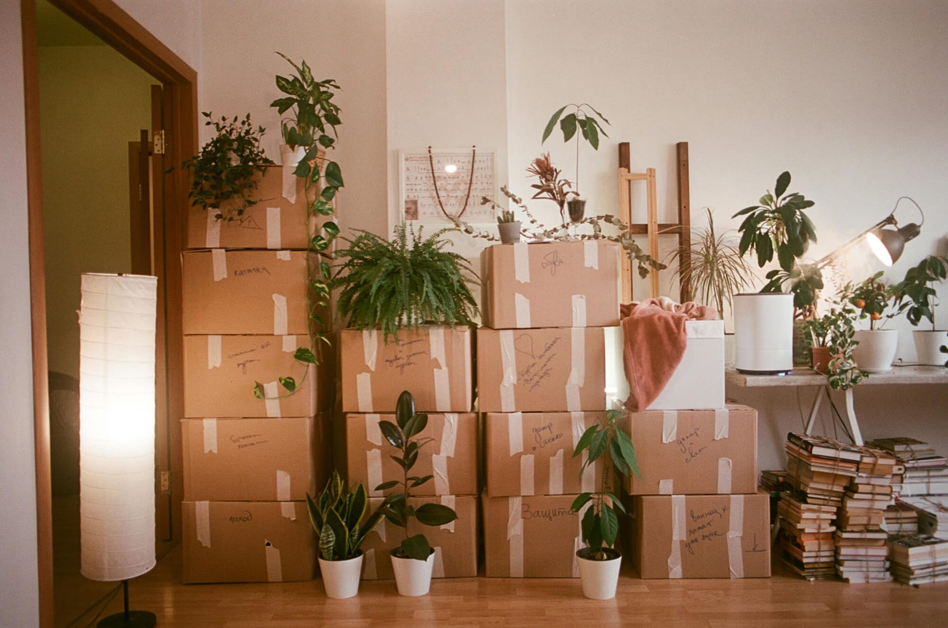 Safe Ship Moving Services: Hassle-Free Relocation in Scottsdale