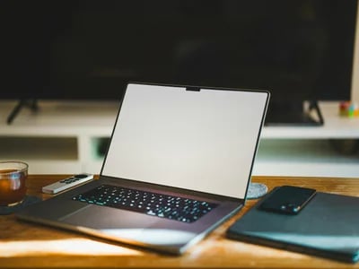 Seo Services In USA for Brands Ready to Scale Digitally – VexNex