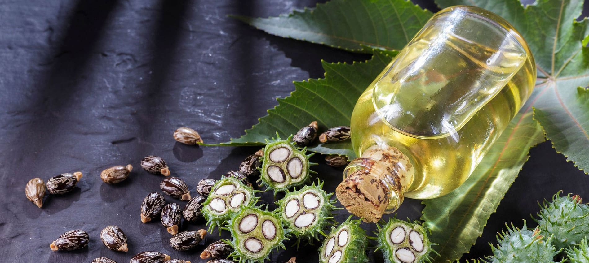 Daily Hair Care Routine with Castor Oil for Healthy Scalp