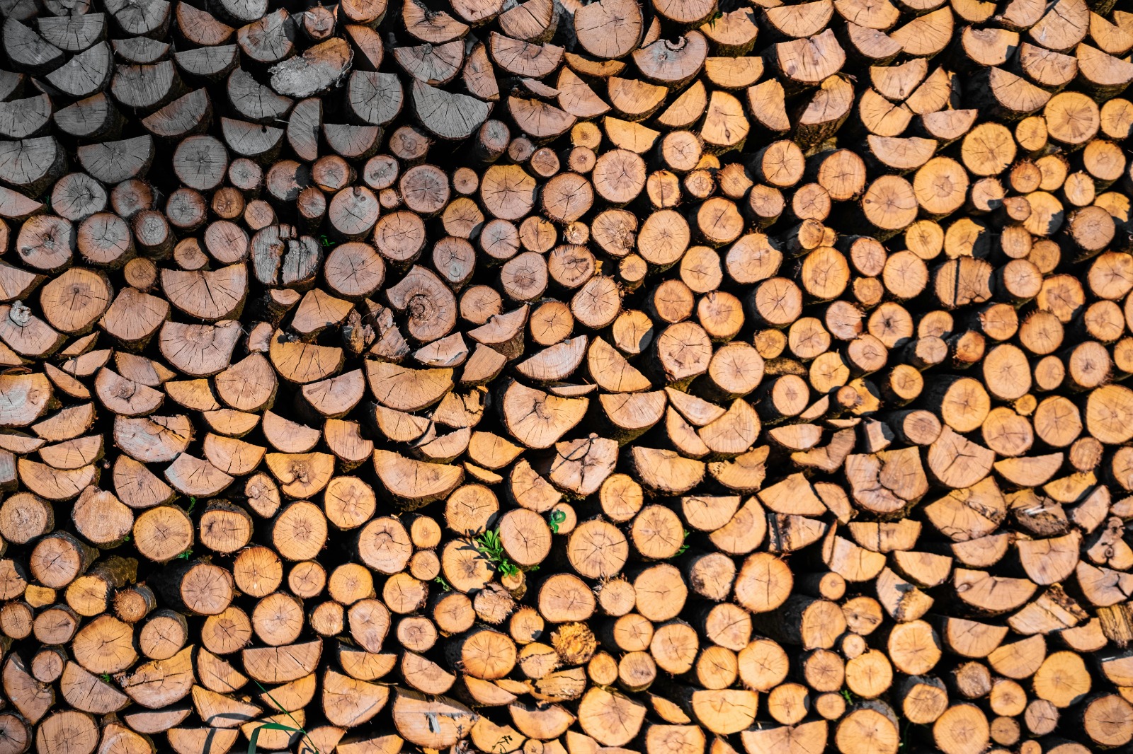 Wood Pellets for Heating Poland: High-Performance and Eco-Friendly Fuel
