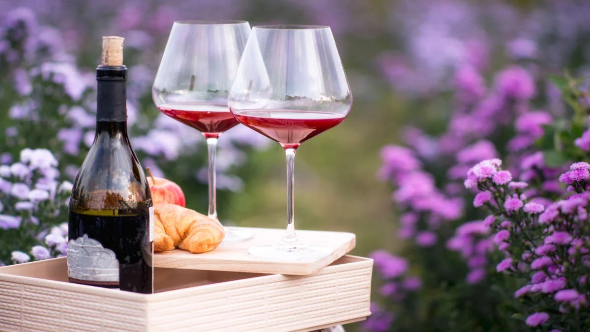 A Complete Guide to Tasting Clarksburg Wines