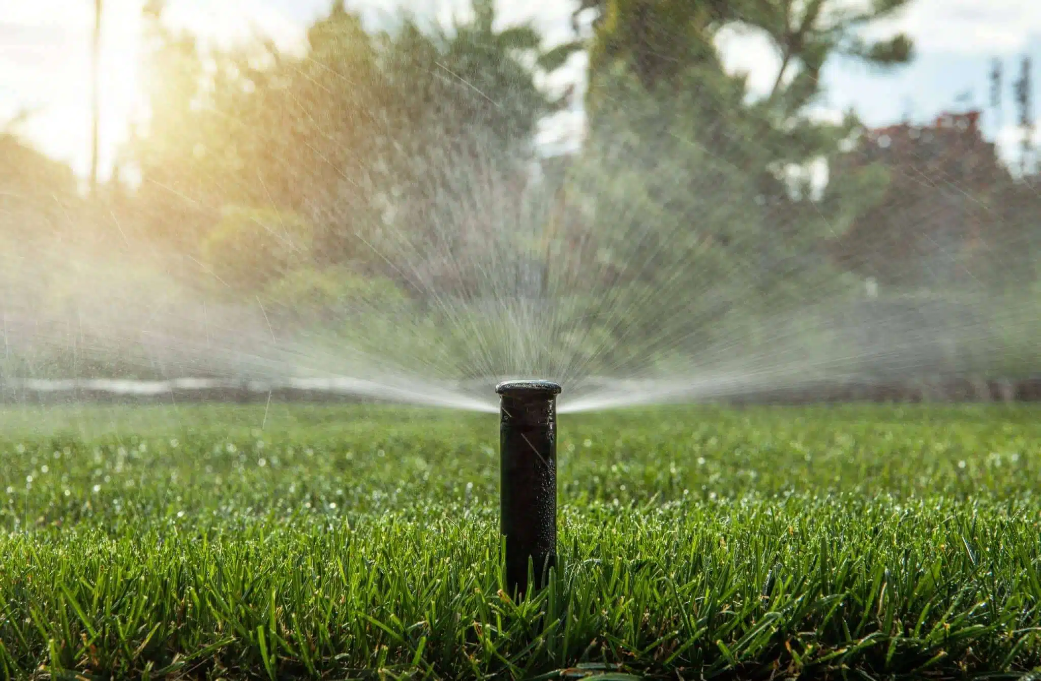 The Sprinkler Company Inc | Expert Irrigation System Installation