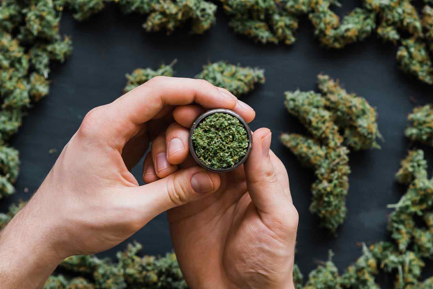 CBD hash supplier confiable en España con catálogo B2B y alta rotación de productos