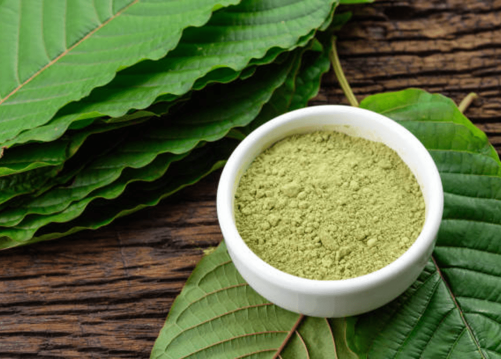 Buy Kratom Tea Chiang Mai for Fresh, Authentic Flavors