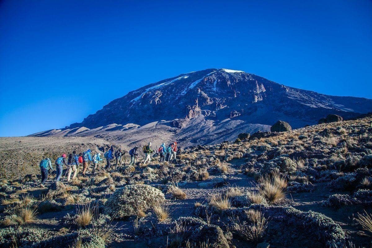 Climb Kilimanjaro with Personalized Support from Moshi-Based Guides
