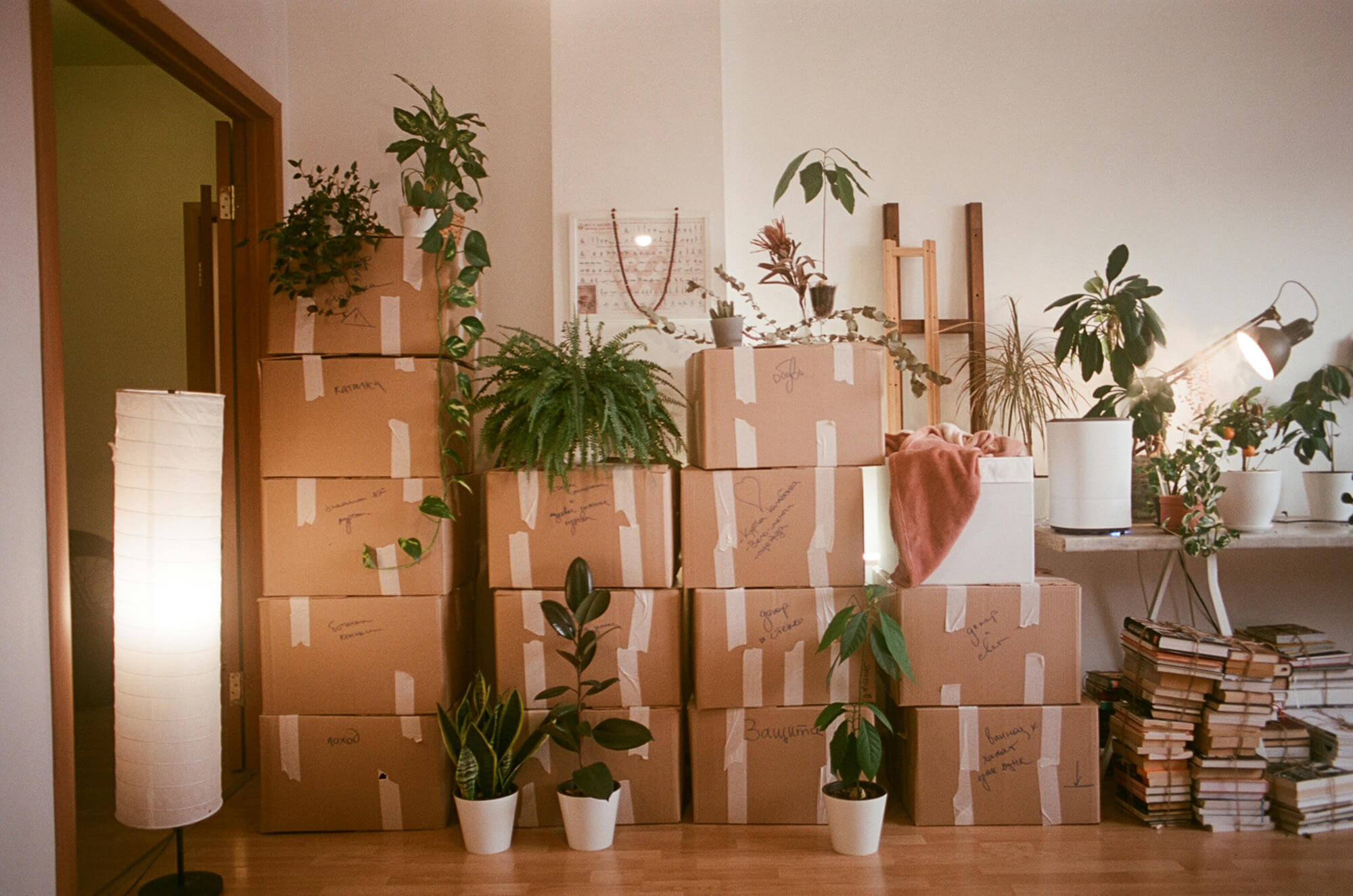 Safe Ship Moving Services: Hassle-Free Relocation in Scottsdale