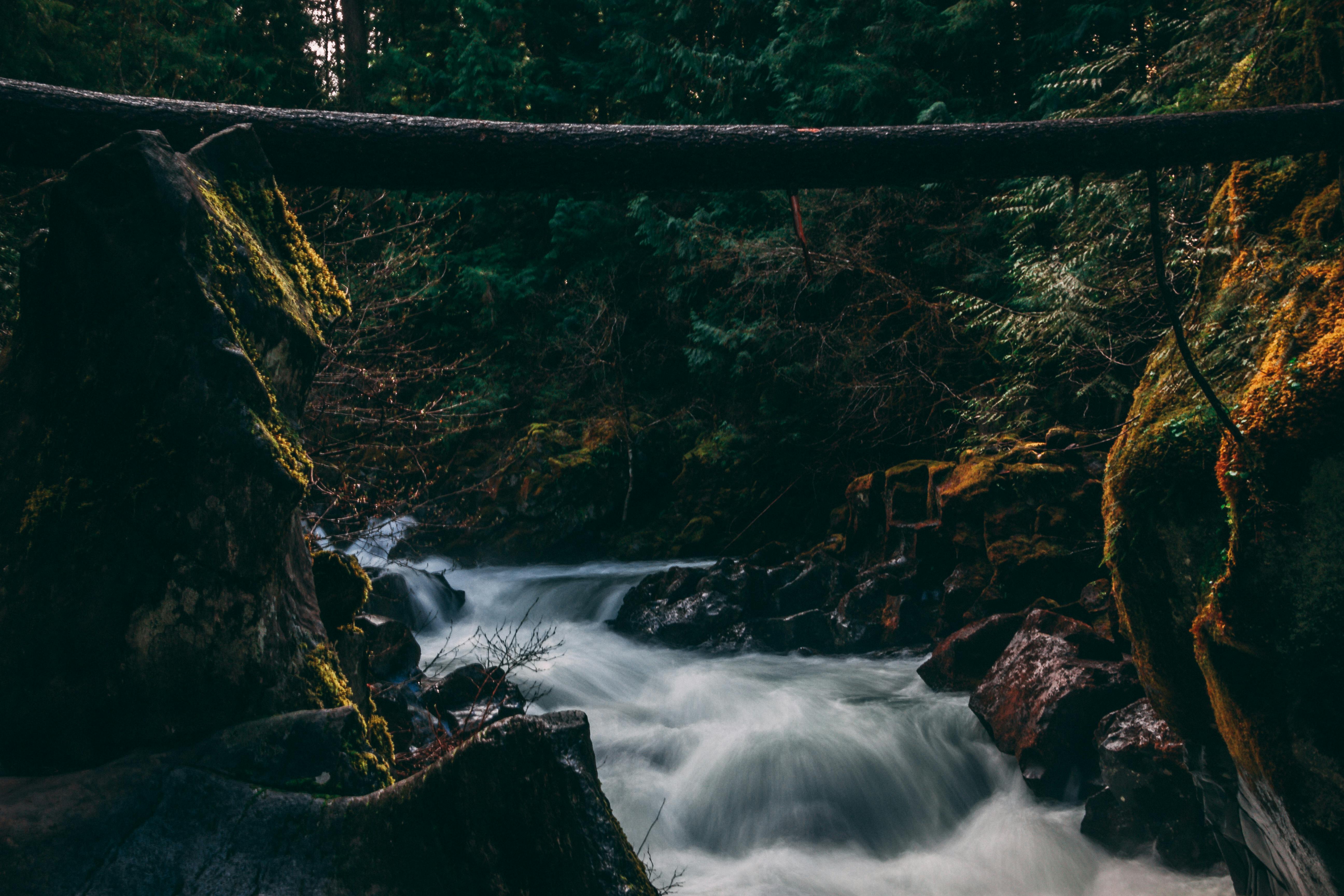 Exploring Multnomah Falls: Your Complete Guide