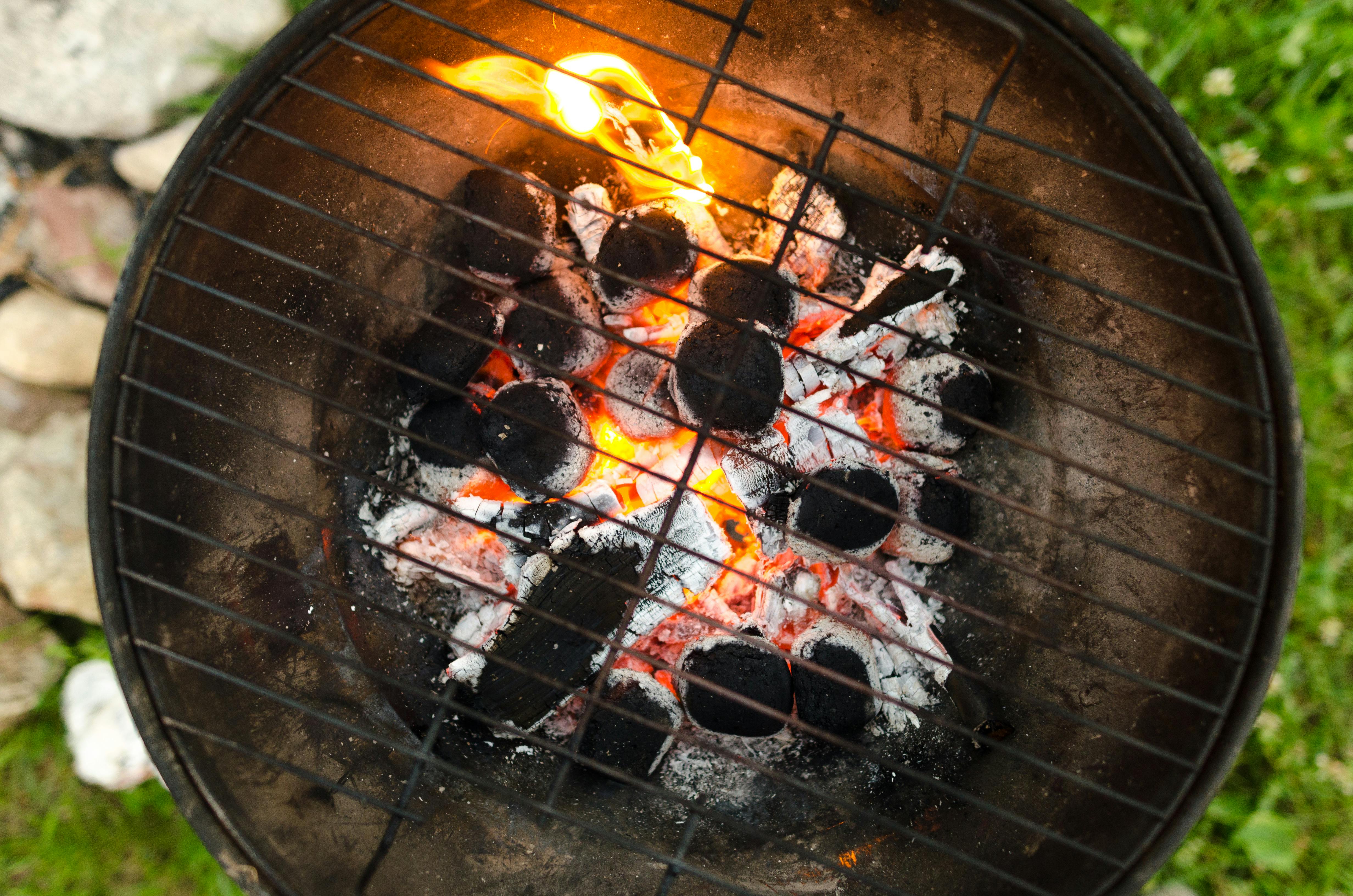 Eco-Friendly Charcoal from Renewable Biomass Sources