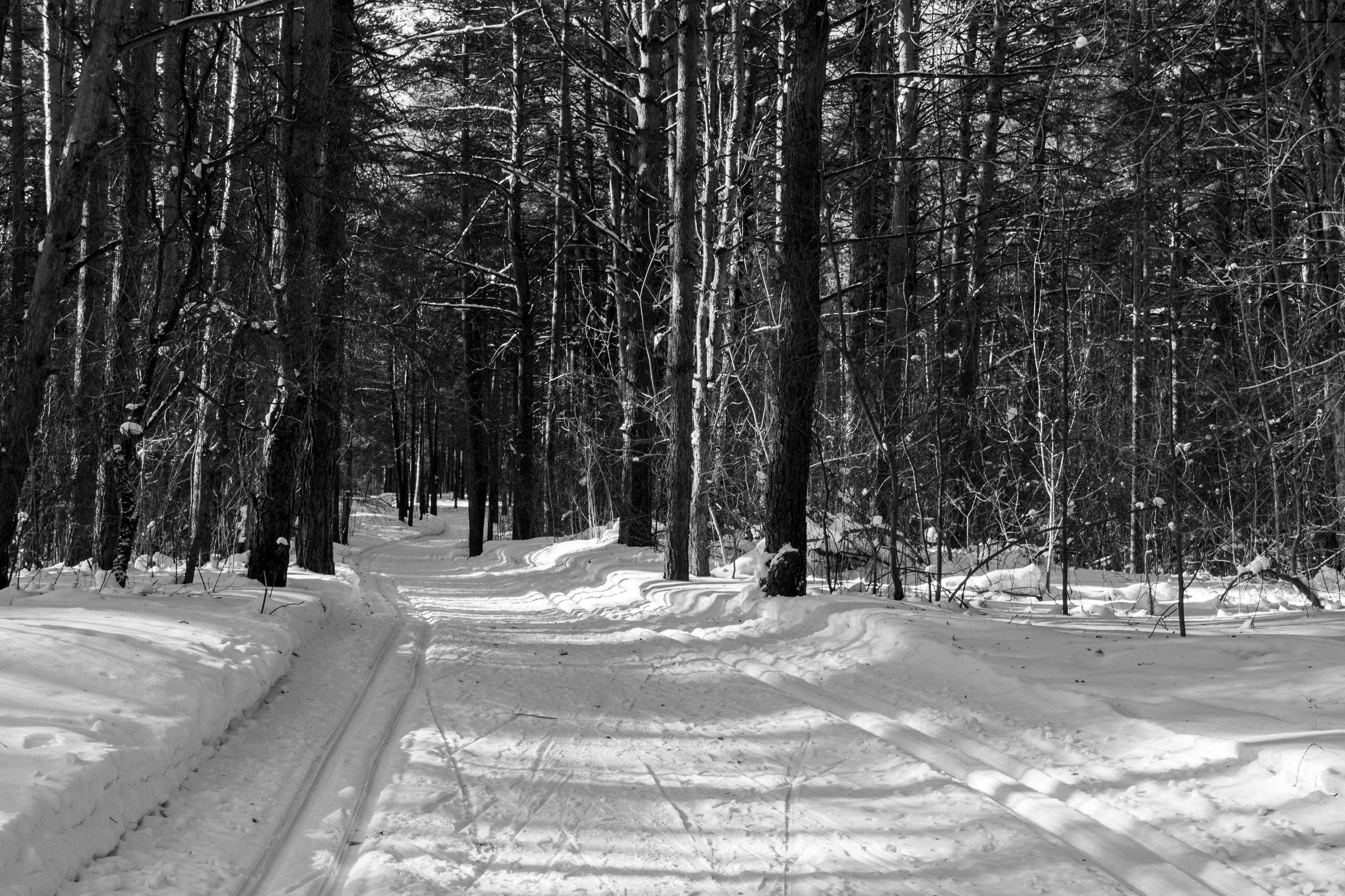 Cool Trails for Nature Lovers, Hikers, and Wildlife Enthusiasts