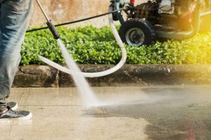 WhatsApp Image 2025-10-31 at 4.00.16 PM