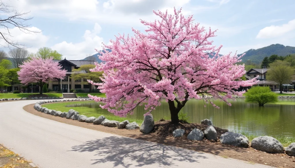 葉酸サプリを選ぶためのテーブルに並ぶ様々なサプリメント。