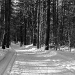 Cool Trails for Nature Lovers, Hikers, and Wildlife Enthusiasts